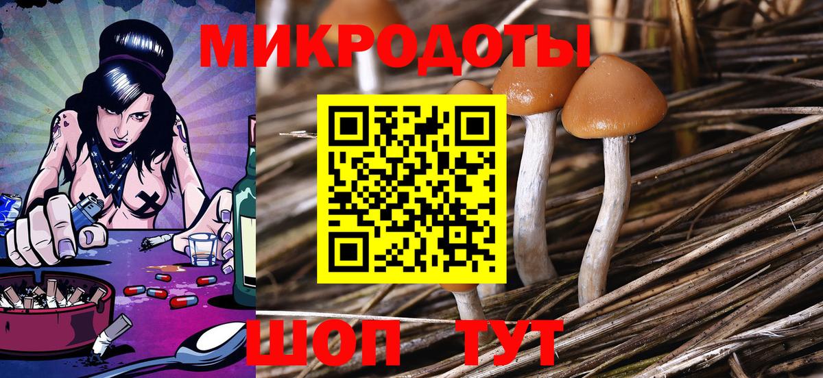 Галлюциногенные грибы Psilocybine cubensis Кириши