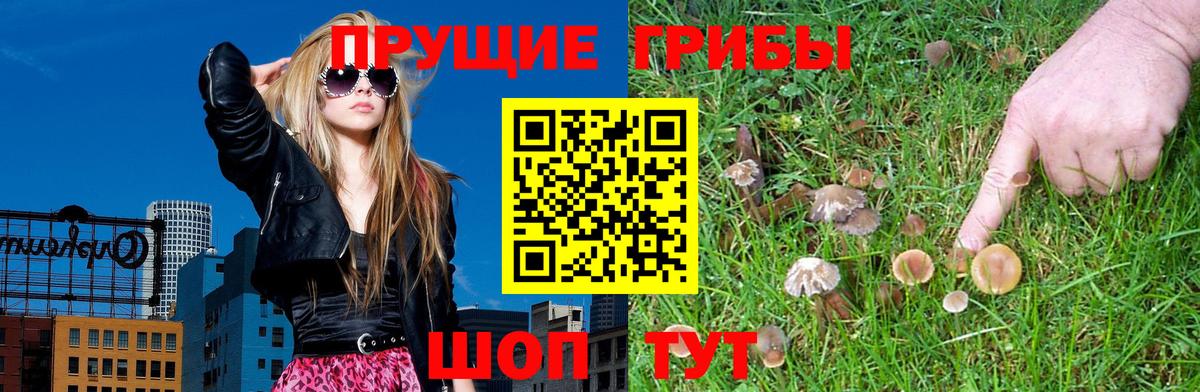хочу   Галлюциногенные грибы мицелий  Псилоцибиновые грибы Magic Shrooms  Вход с VPN  Кириши 